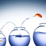 crowdfunding : un poisson rouge saute dans des bocaux de plus en plus gros