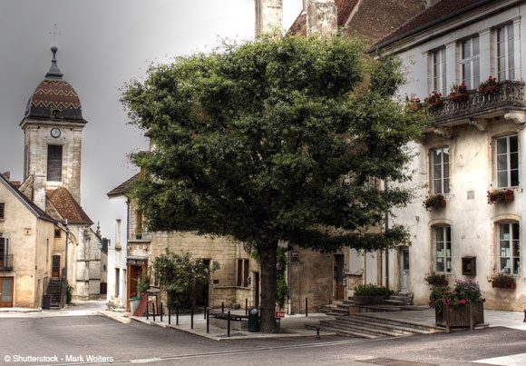Le bien immobilier public peut être soumis à des baux emphytéotiques, c'est-à-dire de longue durée