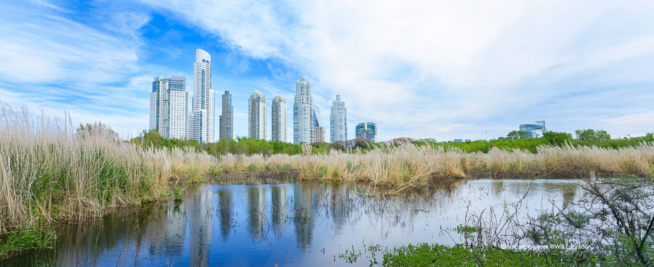 Changement climatique : solutions naturelles, pourquoi, comment ?