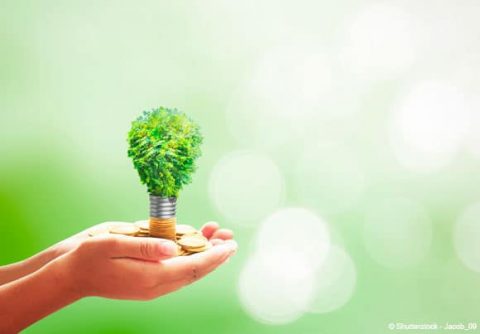 PME et TPE : il est temps de devenir éco-responsable