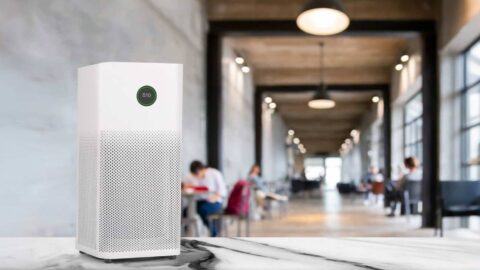 Qualité de l&rsquo;air en entreprise : un enjeu stratégique pour la santé et la performance