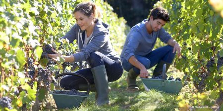 Travailleurs saisonniers : quelles règles pour l'employeur ?